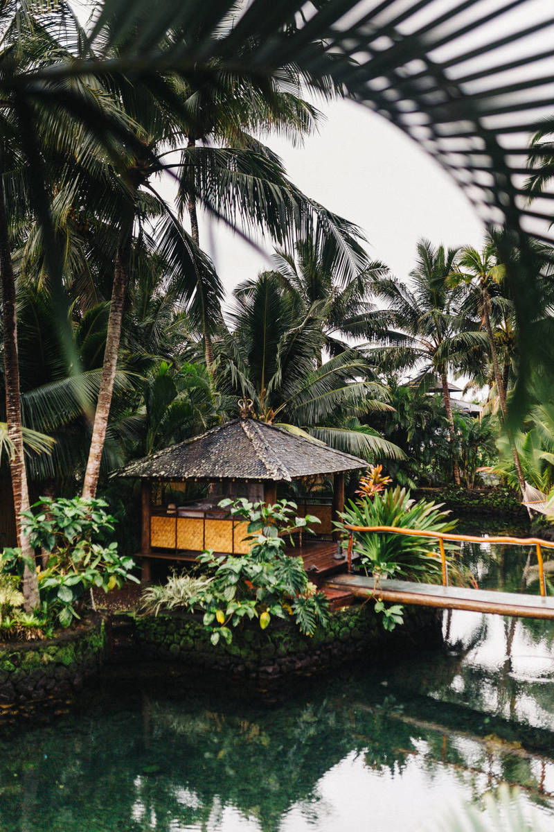 Cheap Day Trips Dubai: Free or Dhs10 Per Person and 90 Mins Away