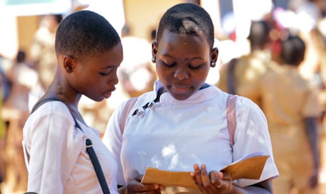 Le système éducatif togolais  : un succès africain !  