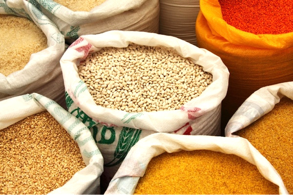 Exportation de produits agricoles : La Ministre rappelle les formalités obligatoires