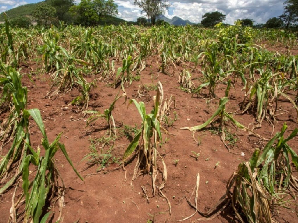 Le Togo lance la mise à jour de son Plan National d’Adaptation aux Changements Climatiques