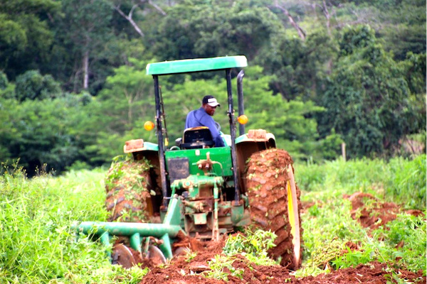 L’Agence de Transformation Agricole renforce ses équipes : 55 postes à pourvoir