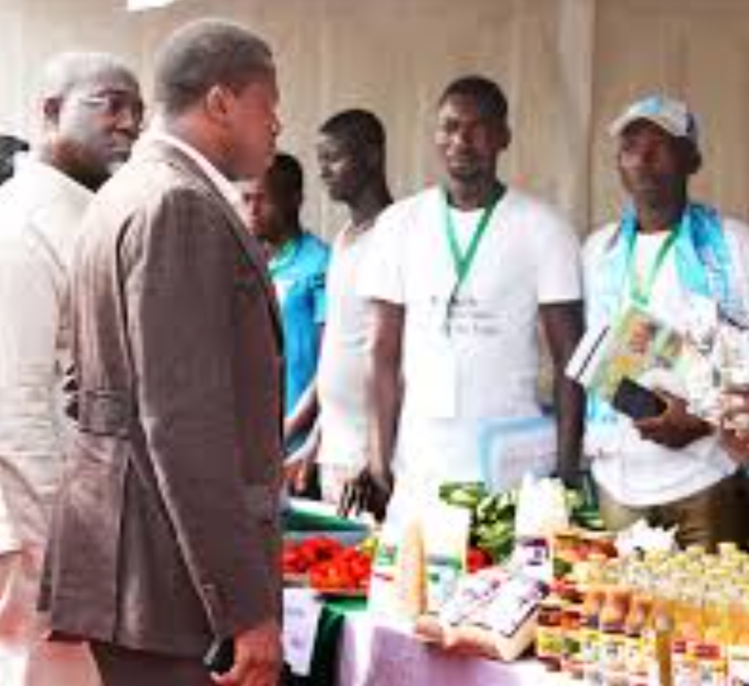 Le Togo : une révolution agroalimentaire en marche