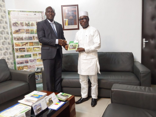 Togo : Lancement de la stratégie nationale pour le développement du bambou et du rotin
