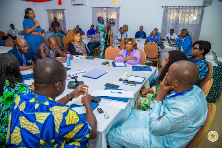 Togo : Les députés renforcent leurs capacités pour une meilleure gouvernance du secteur de la sécurité