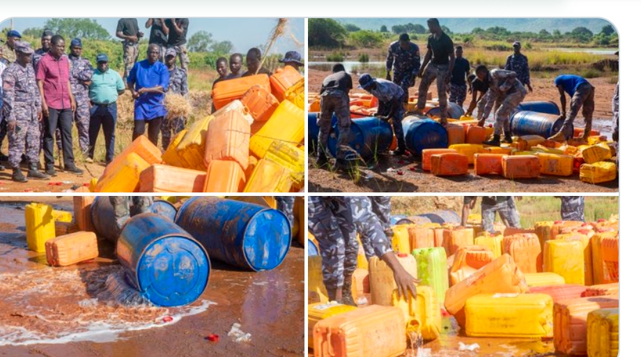 Lutte contre les boissons frelatées : 12.795 Litres de Sodabi détruits dans les Savanes