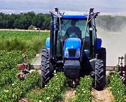 L’agriculture togolaise : un atout pour l’économie nationale