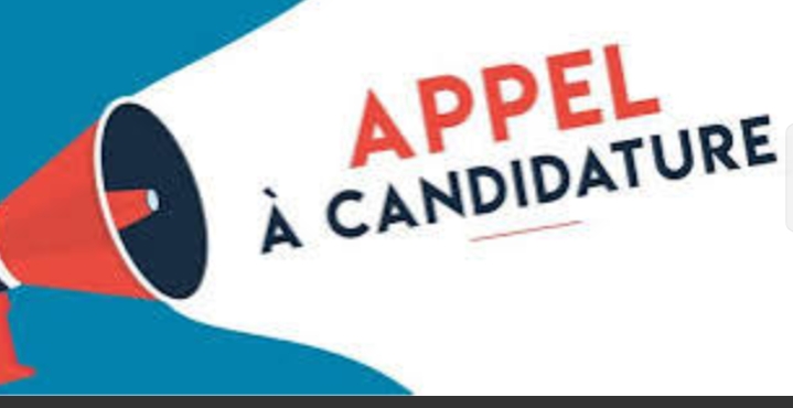 Université de Lomé : Appel à candidatures pour le Master Professionnel Ingénieur en Ingénierie Électrique 2026-2028