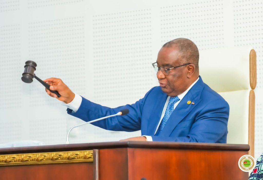 Togo : Le Parlement autorise la ratification de la convention créant l’Organisation internationale pour la médiation