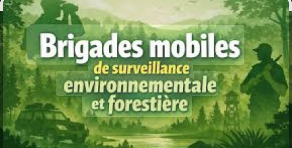 Environnement : Le ministre Kokoroko dégaine les brigades mobiles pour traquer les trafiquants de bois